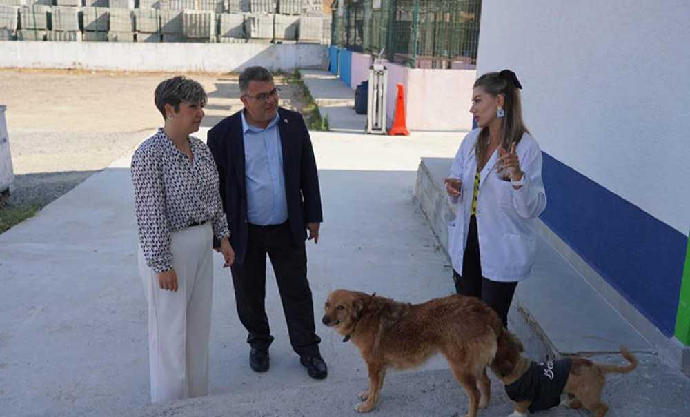 Başkan Vekili Üntürk Çalışmalarıyla Dikkat Çekiyor