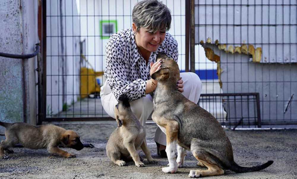 Başkan Vekili Üntürk Çalışmalarıyla Dikkat Çekiyor