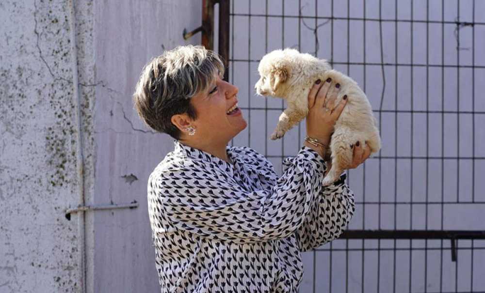 Başkan Vekili Üntürk Çalışmalarıyla Dikkat Çekiyor