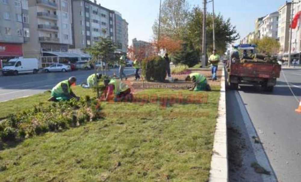 Park Ve Bahçeler Müdürlüğü'nden Çevre Düzenlemesi