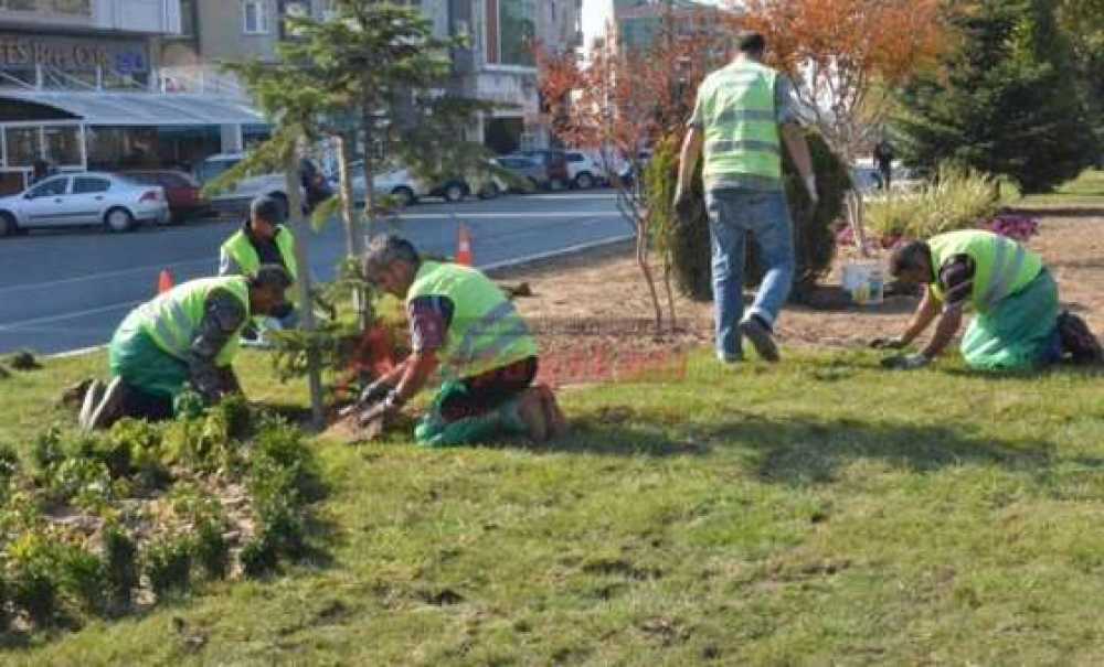 Park Ve Bahçeler Müdürlüğü'nden Çevre Düzenlemesi