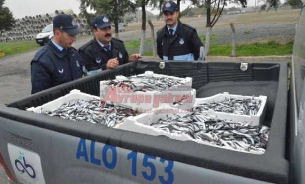 Çorlu Zabıtasından Balık Operasyonu