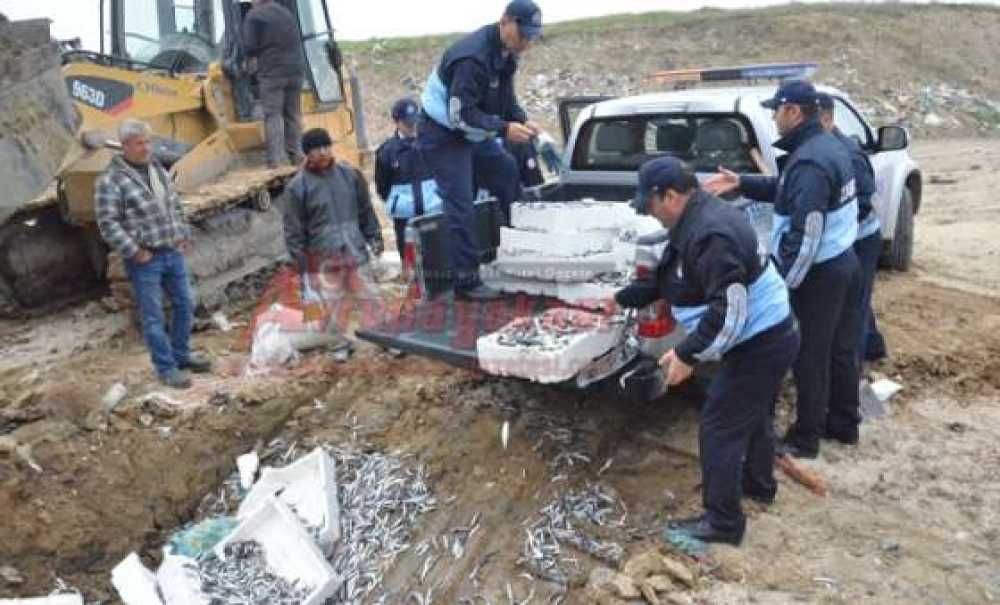 Çorlu Zabıtasından Balık Operasyonu