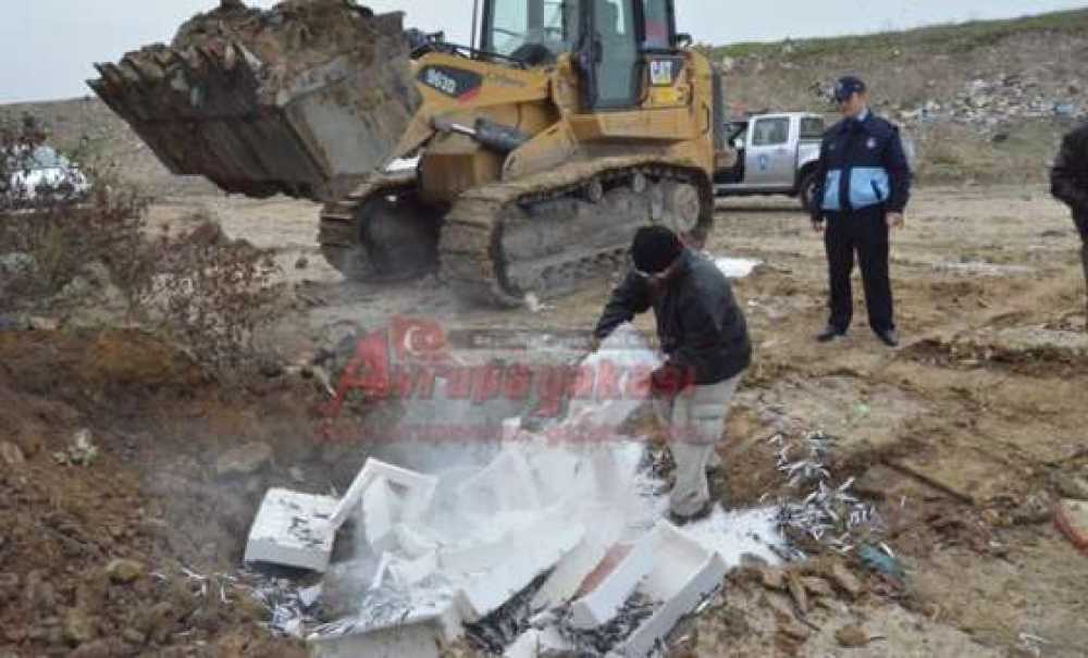 Çorlu Zabıtasından Balık Operasyonu