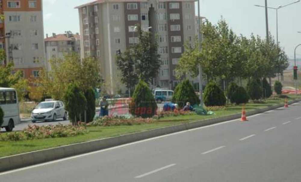 Park Ve Bahçeler Müdürlüğü Ekipleri Çalışmalarını Sürdürüyor