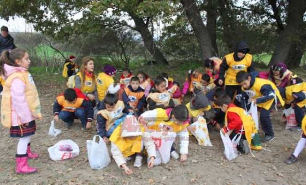 Çorlu'da Tema Gönüllüsü Öğrenciler Ormanda Meşe Palamudu Topladı