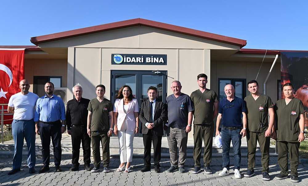 Sahipsiz Hayvanlar İçin Modern Bir Yuva Yükseliyor