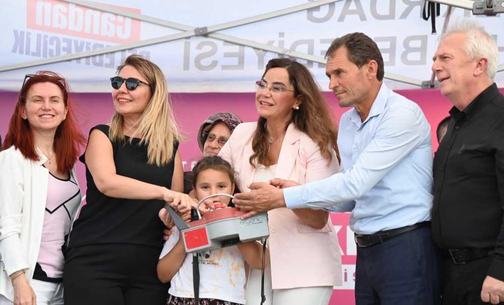 Sahipsiz Hayvanlar İçin Modern Bir Yuva Yükseliyor