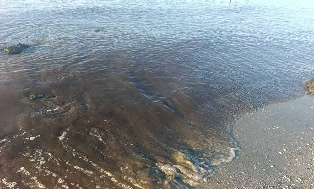 Şerefli Deresi Tehlike Saçıyor