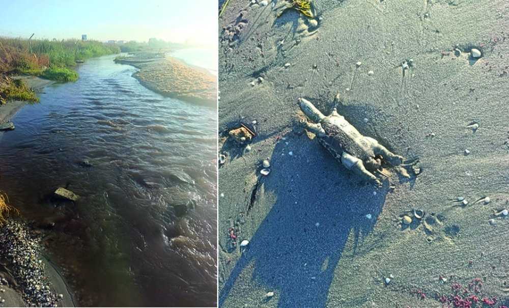 Şerefli Deresi Tehlike Saçıyor