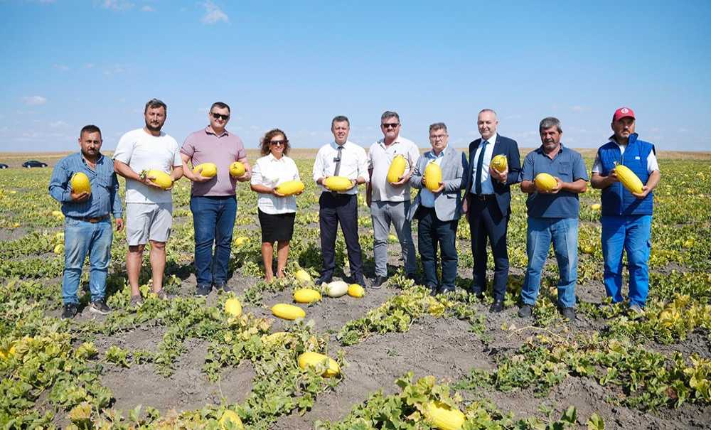 Seymen Kavununu Hasadı Başladı