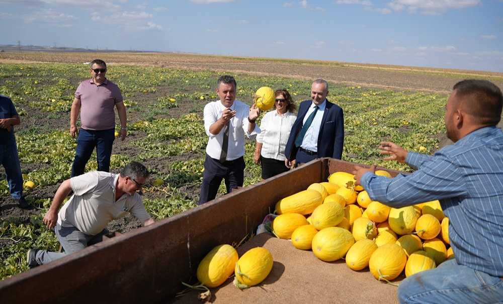 Seymen Kavununu Hasadı Başladı