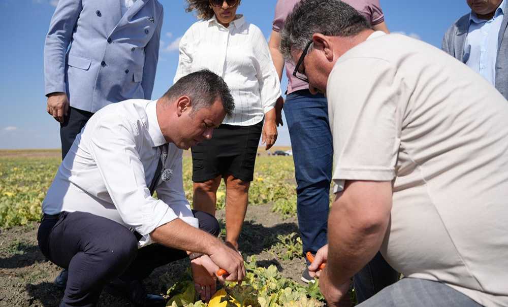 Seymen Kavununu Hasadı Başladı