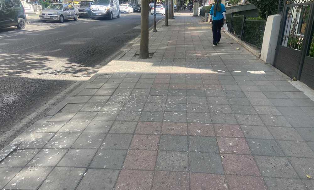 Şi̇nasi̇ Kurşun Caddesi̇nde İstenmeyen Görüntüler