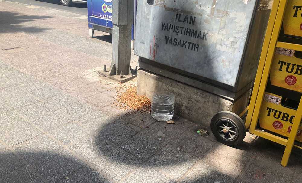 Sokak Hayvanları Susuz Yemsiz Bırakılmıyor