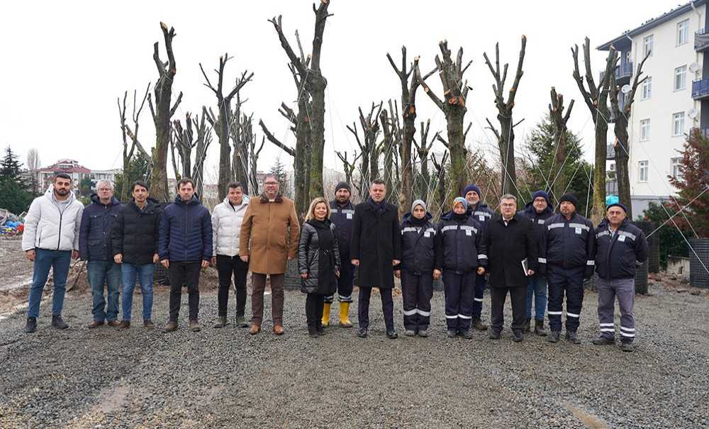 “Sökülen Ağaçlarımıza Seramızda Özenle Bakıyoruz”
