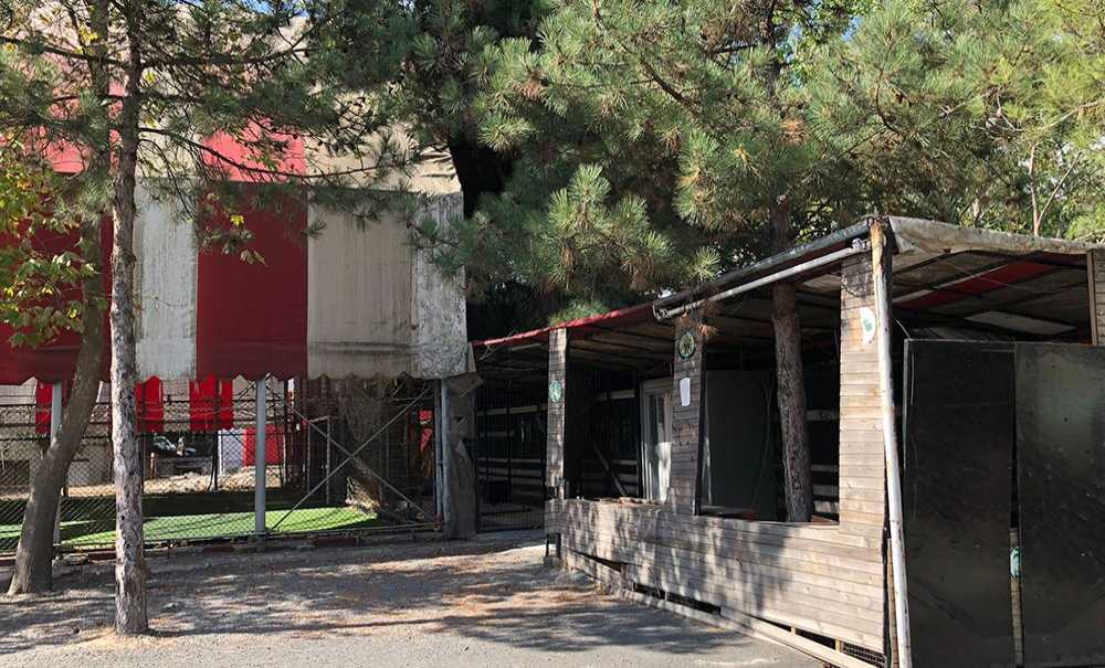 Sonunda İhaleye Çıkıyor