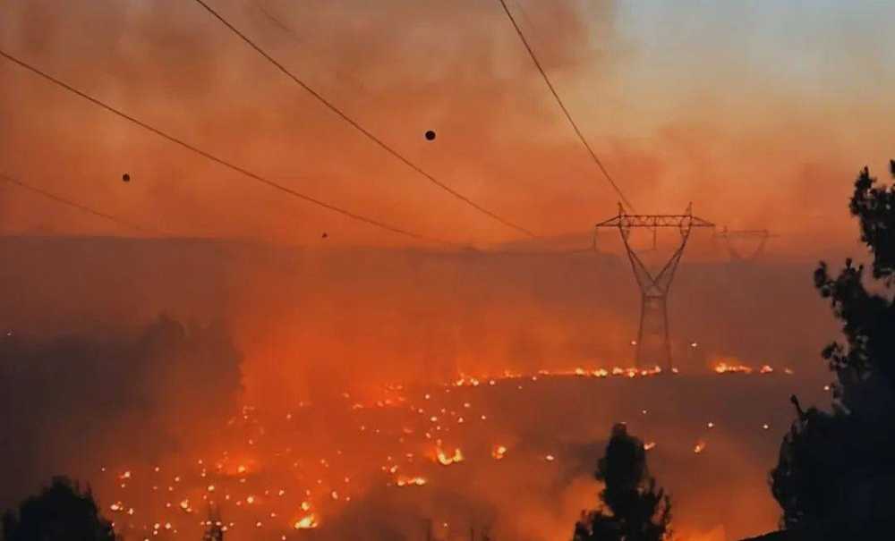 Tekirdağ'ın Ciğerleri Küle Döndü