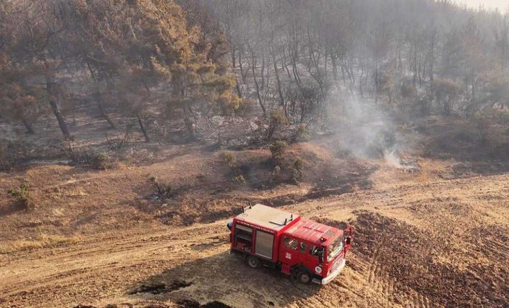 Tekirdağ'ın Ciğerleri Küle Döndü