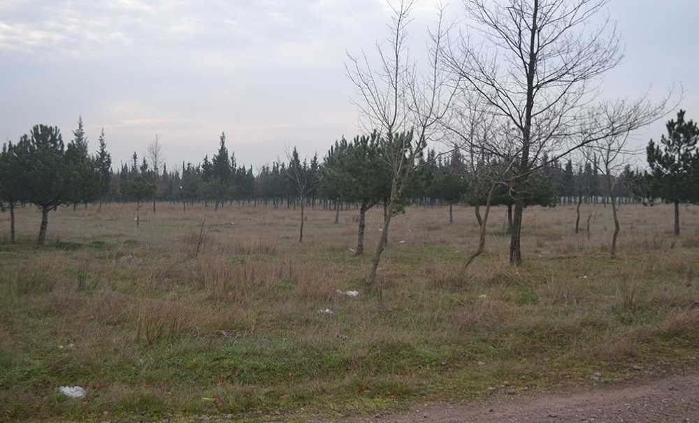 Tema Parki 10 Yildir Yapilmayi Bekli̇yor