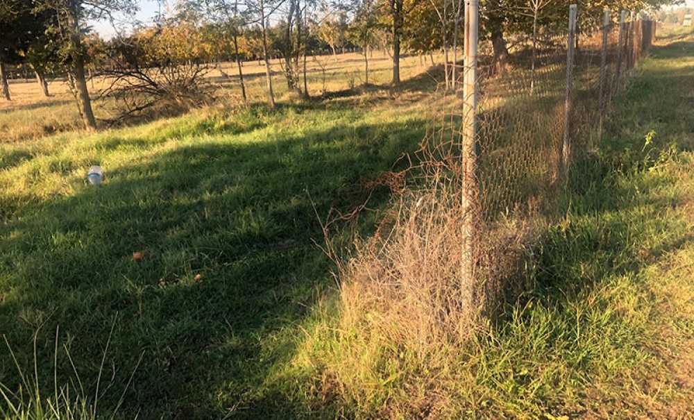 Tema Parkı İçin 2024 Yılı Da Geride Kaldı