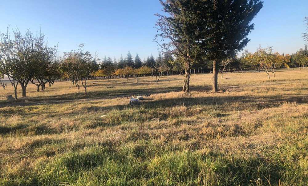 Tema Parkı İçin 2024 Yılı Da Geride Kaldı