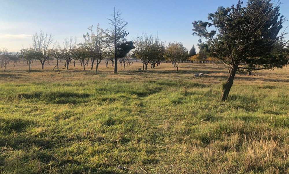 Tema Parkı İçin 2024 Yılı Da Geride Kaldı