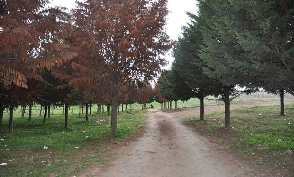 Tema Parkı Ölüyor, Yetkililer İzliyor