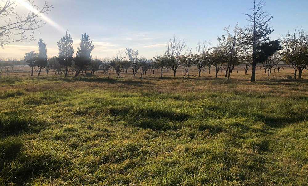Tema Parkı Ölüyor, Yetkililer İzliyor