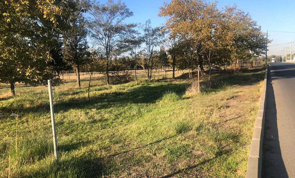 Tema Parkı Ölüyor, Yetkililer İzliyor