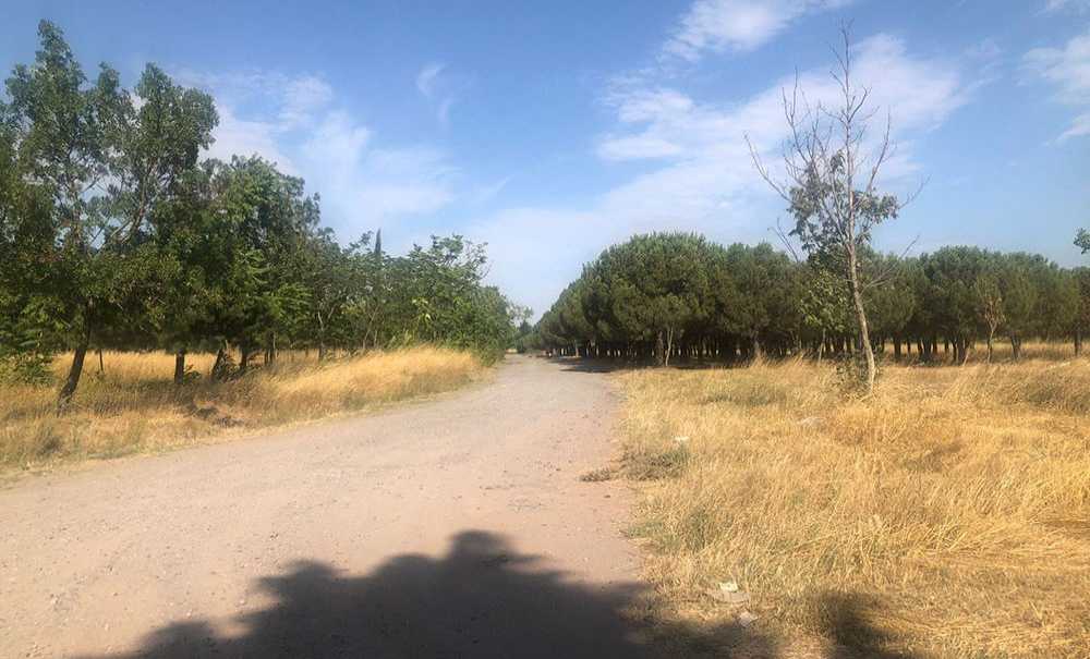 Tema Parkı Ölüyor, Yetkililer İzliyor