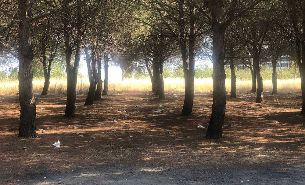 Tema Parkı Ölüyor, Yetkililer İzliyor