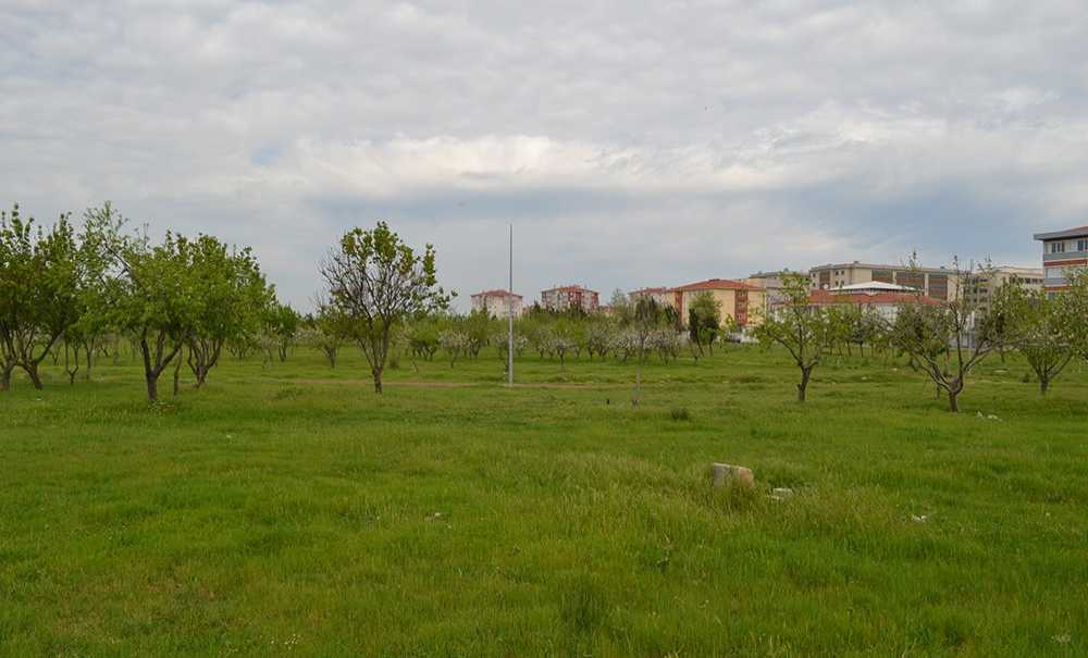 Tema Parkına Ancak Böyle Dikkat Çekilirdi