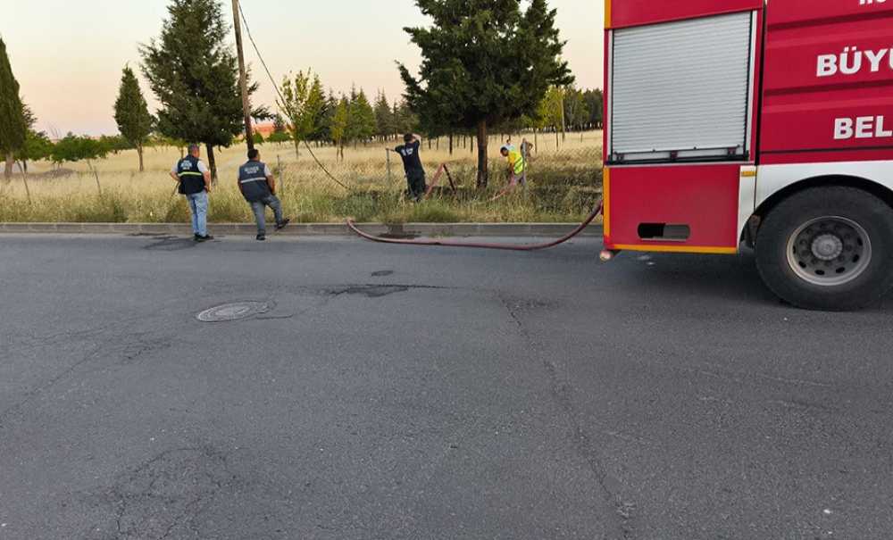 Tema Parkında Yangın Çıktı