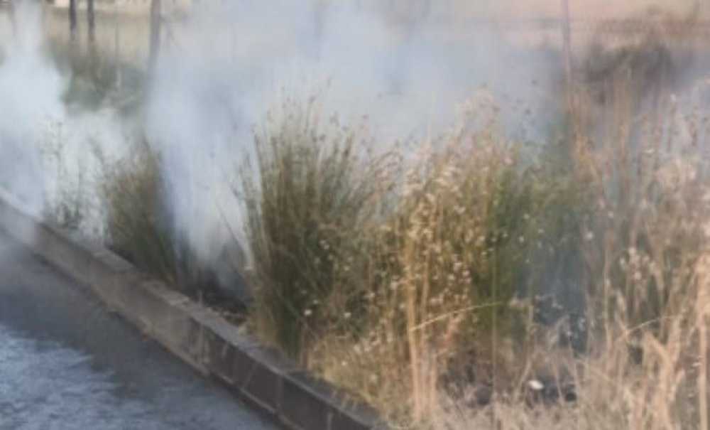 Tema Parkında Yangın Çıktı