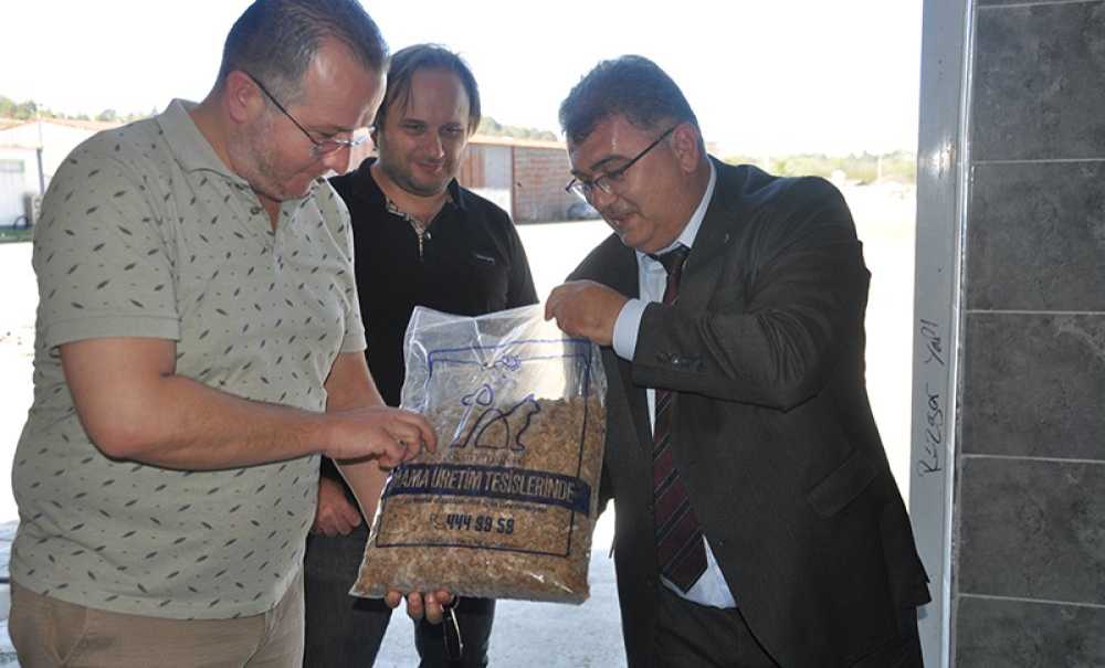 Trakya'nın En Büyük Hayvan Bakımevi Çorlu'da