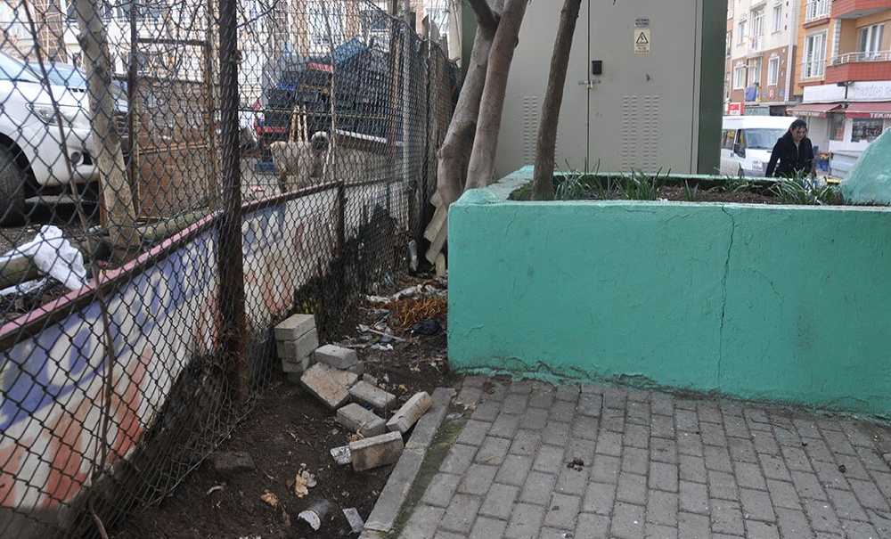 Türbede Yatan Kişi Tedavi Altına Alındı