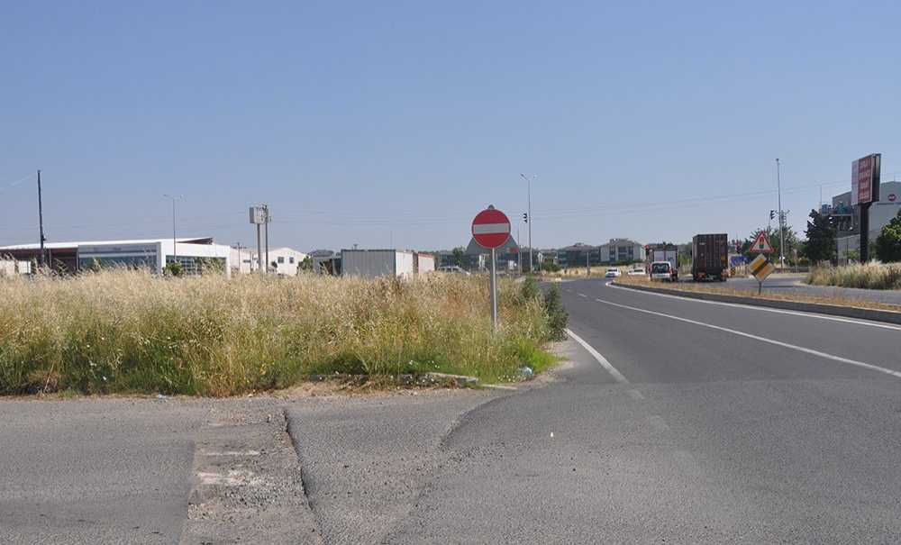 Uzayan Otlar Kazalara Davetiye Çıkartıyor