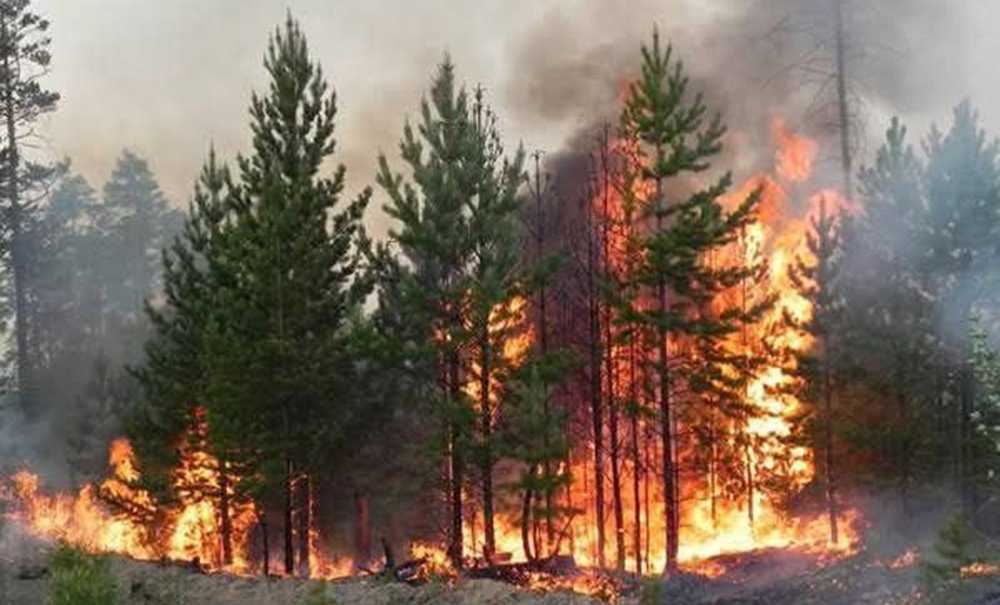 Yangınlardan Sorumlu Elektrik Şirketlerini Kim Denetliyor?