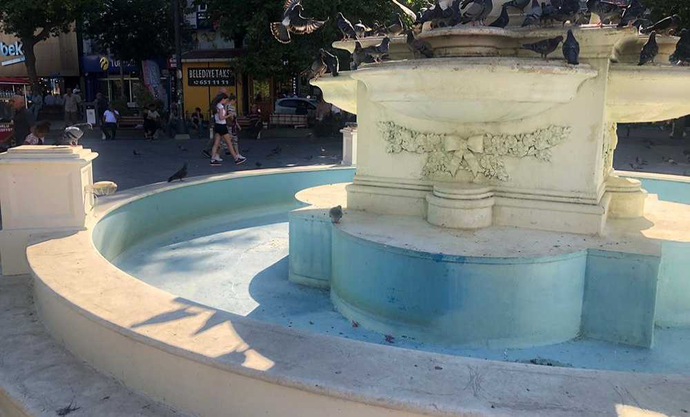 Yaz Sıcağında Güvercinler Susuz Kalıyor!