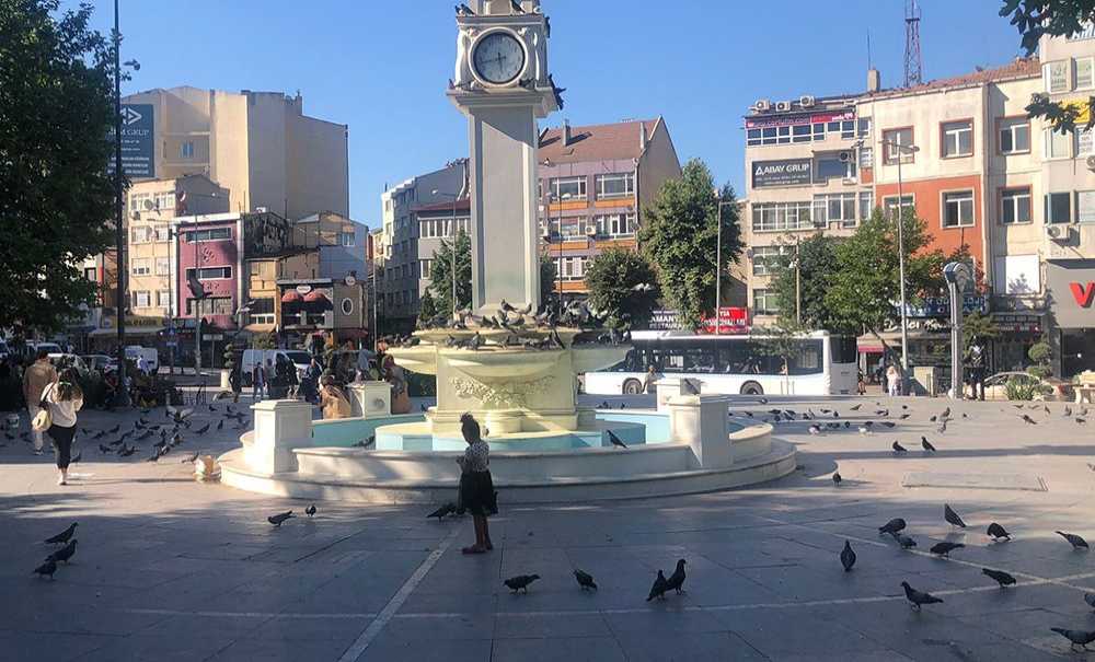 Yaz Sıcağında Güvercinler Susuz Kalıyor!