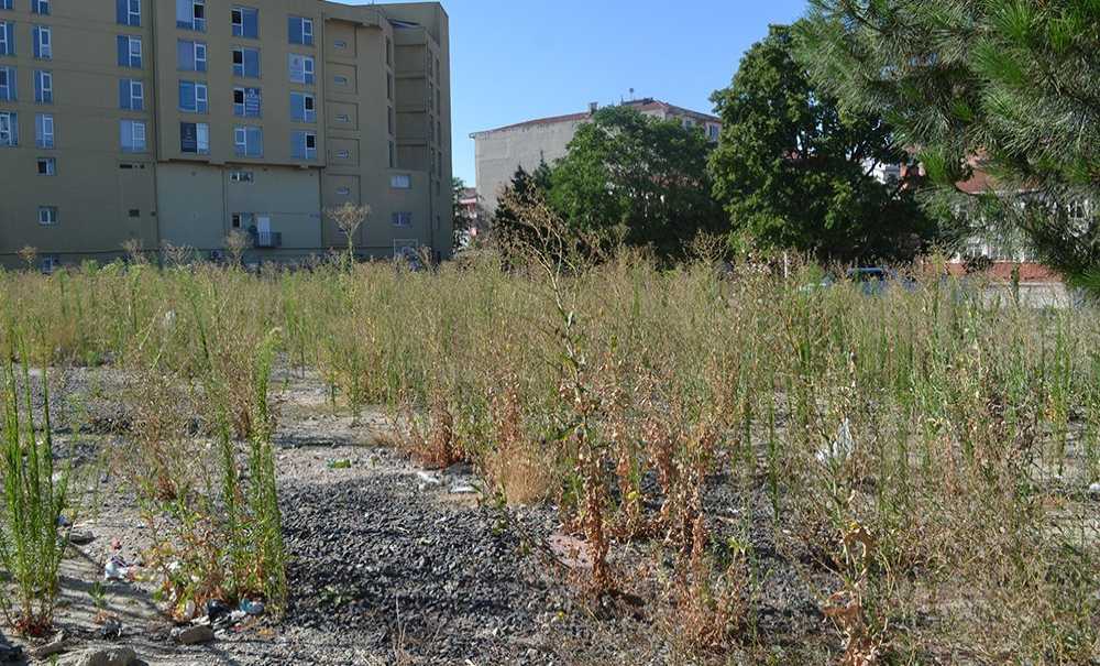 Yıkılan İki Okul Şubat Ayı'nda İhaleye Çıkacak