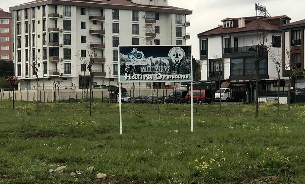 Zarar Gören Çitler Tekrar Yapılacak